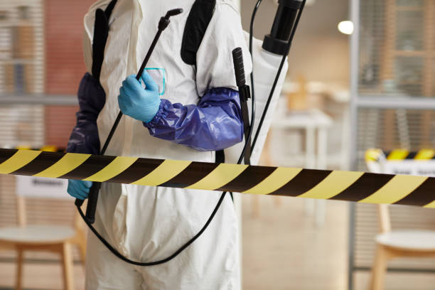 Professional Sewage Cleanup technician working in Center, CO